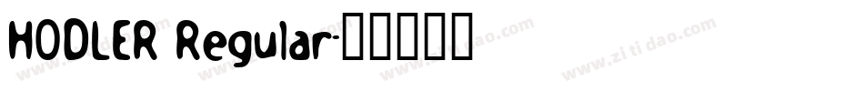 HODLER Regular字体转换